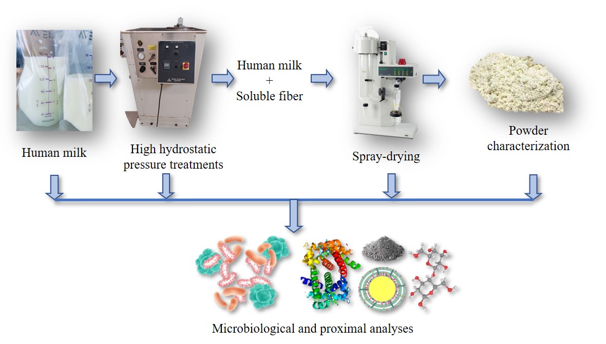 Graphical abstract