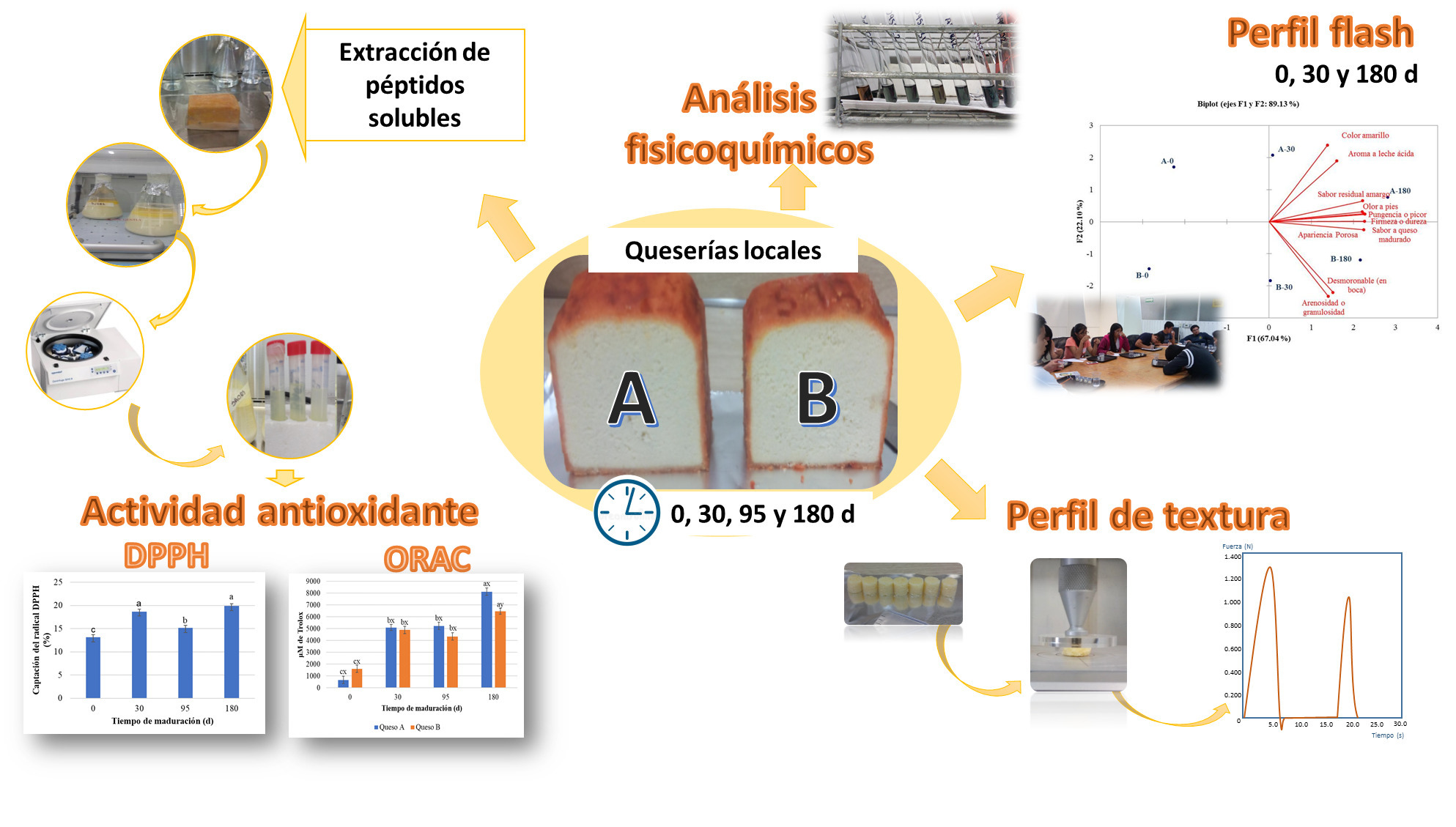 Graphical abstract