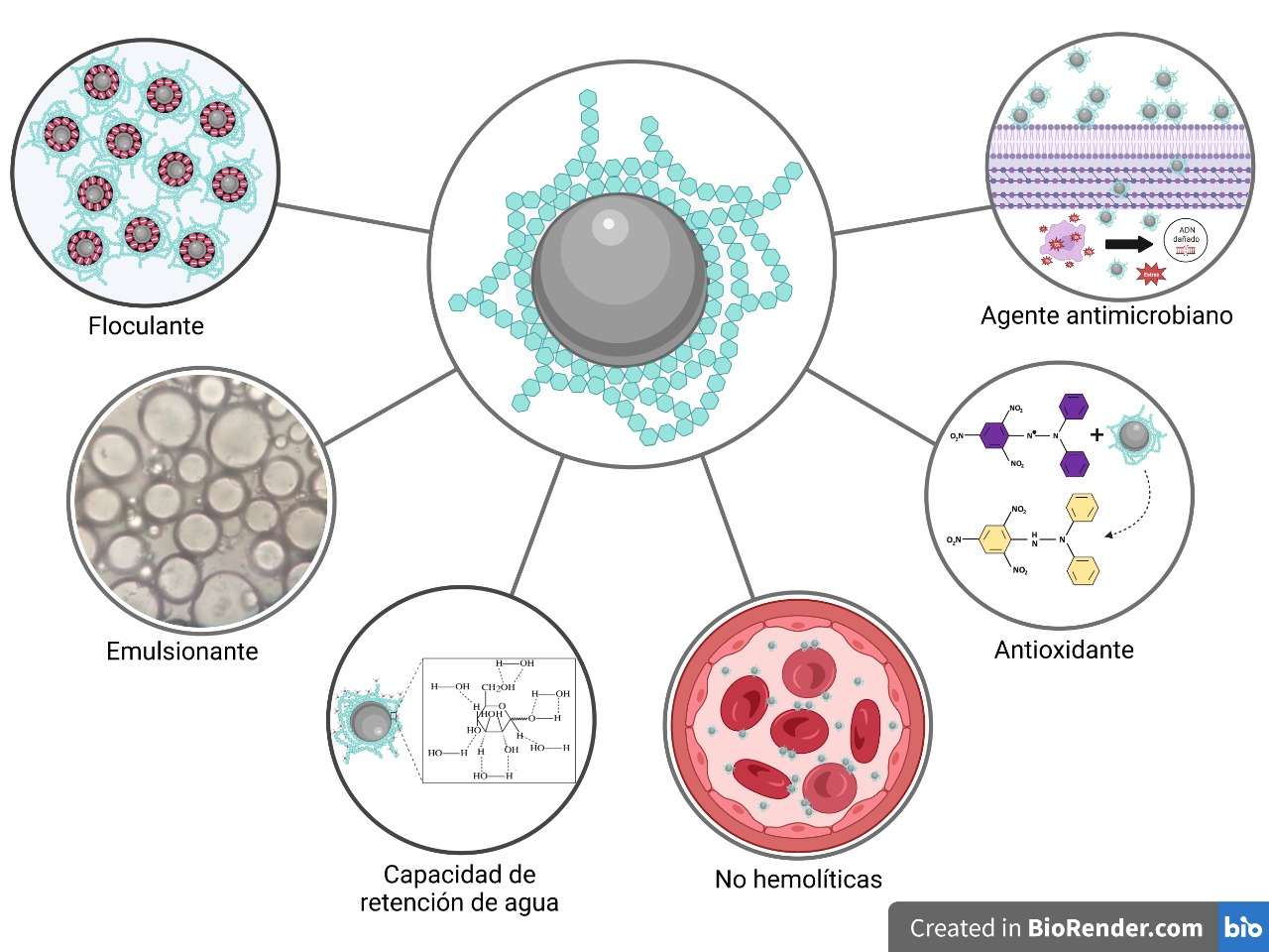 Graphical abstract