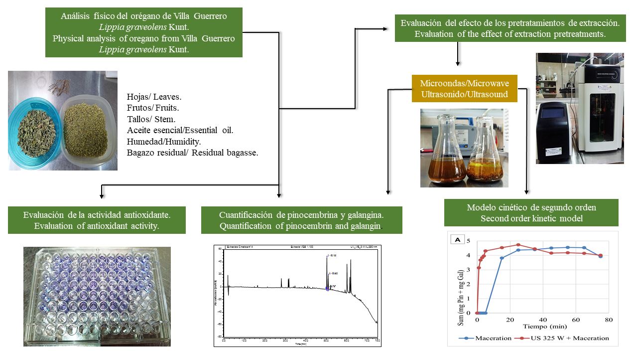 Graphical abstract