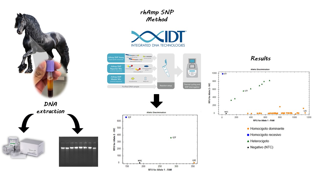 Graphical abstract