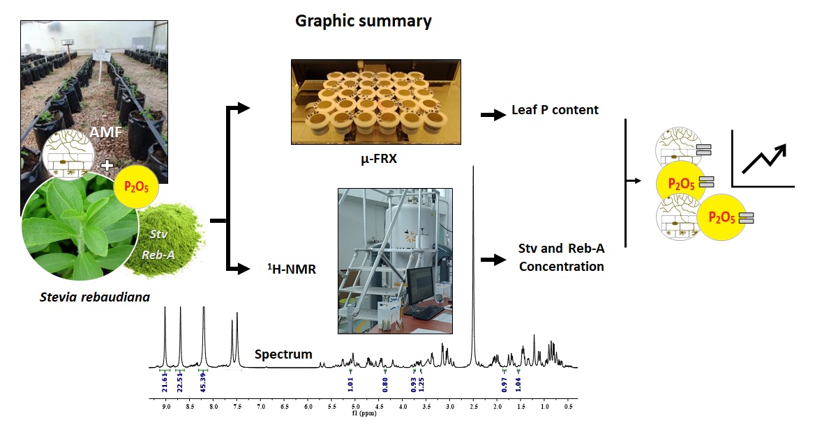 Graphical abstract