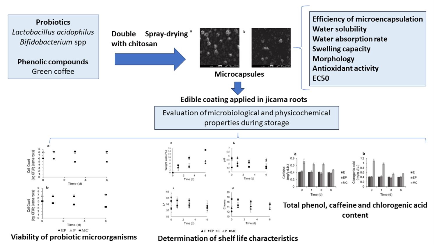 Graphical abstract