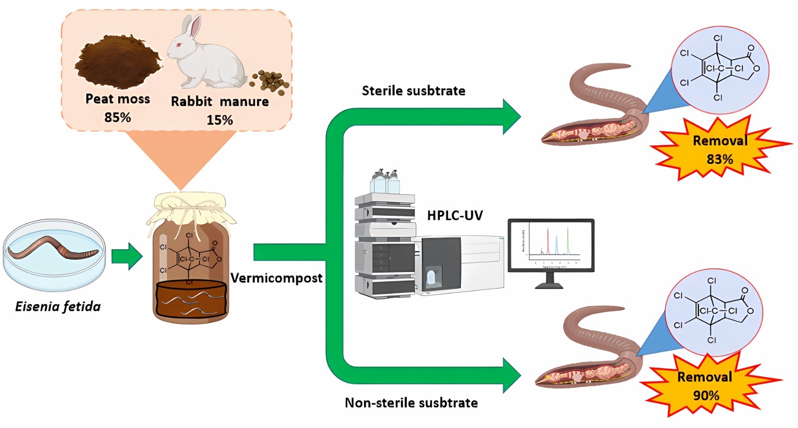 Graphical abstract