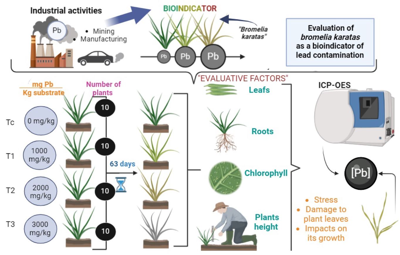 Graphical abstract