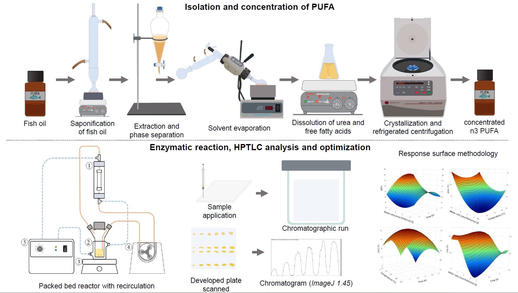 Graphical abstract