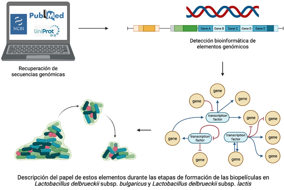 Graphical abstract