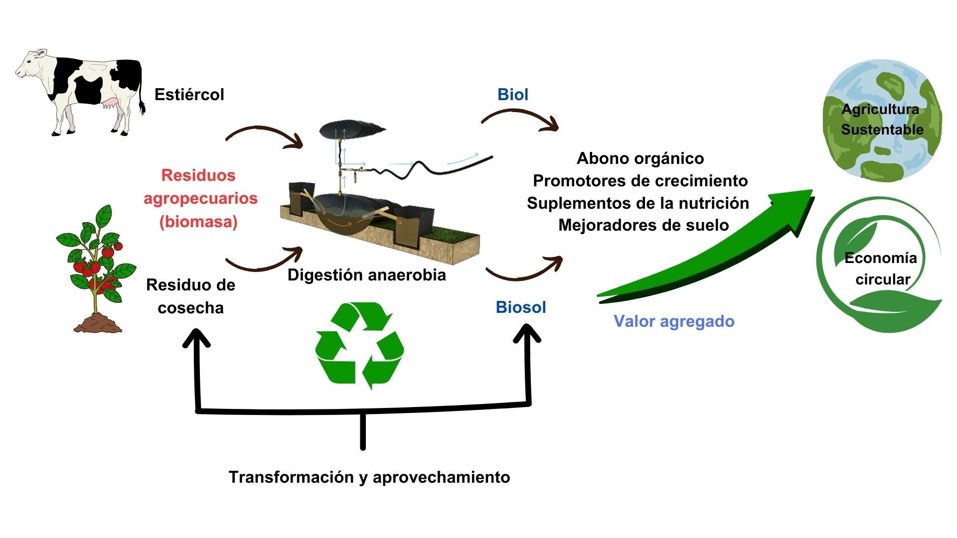 Resumen gráfico