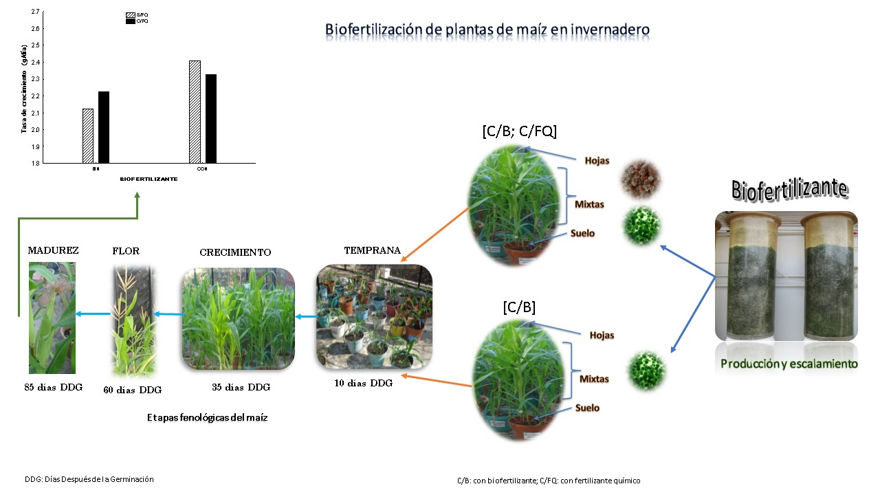 Resumen gráfico