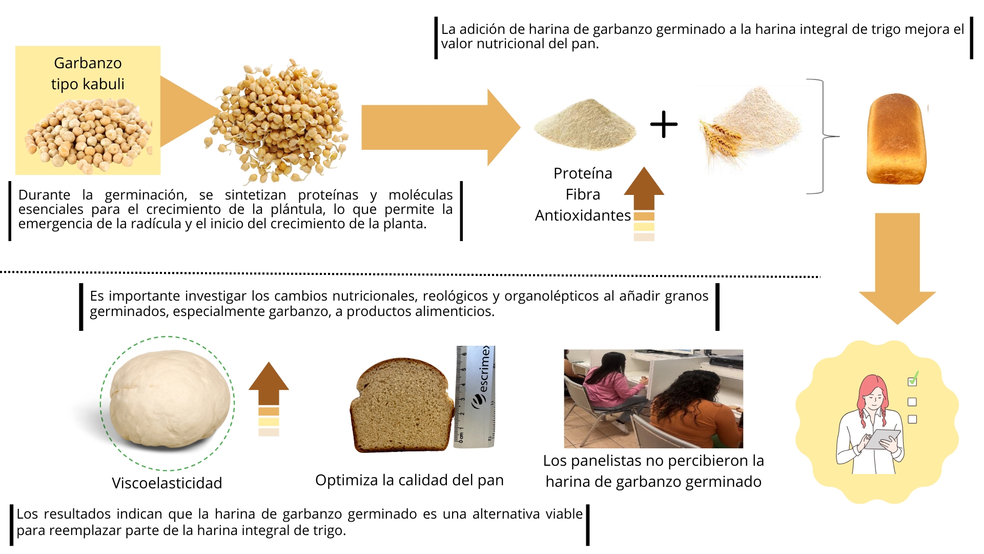 Graphical abstract