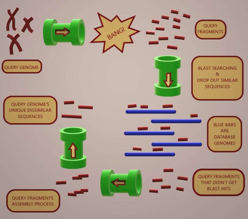 Graphical abstract