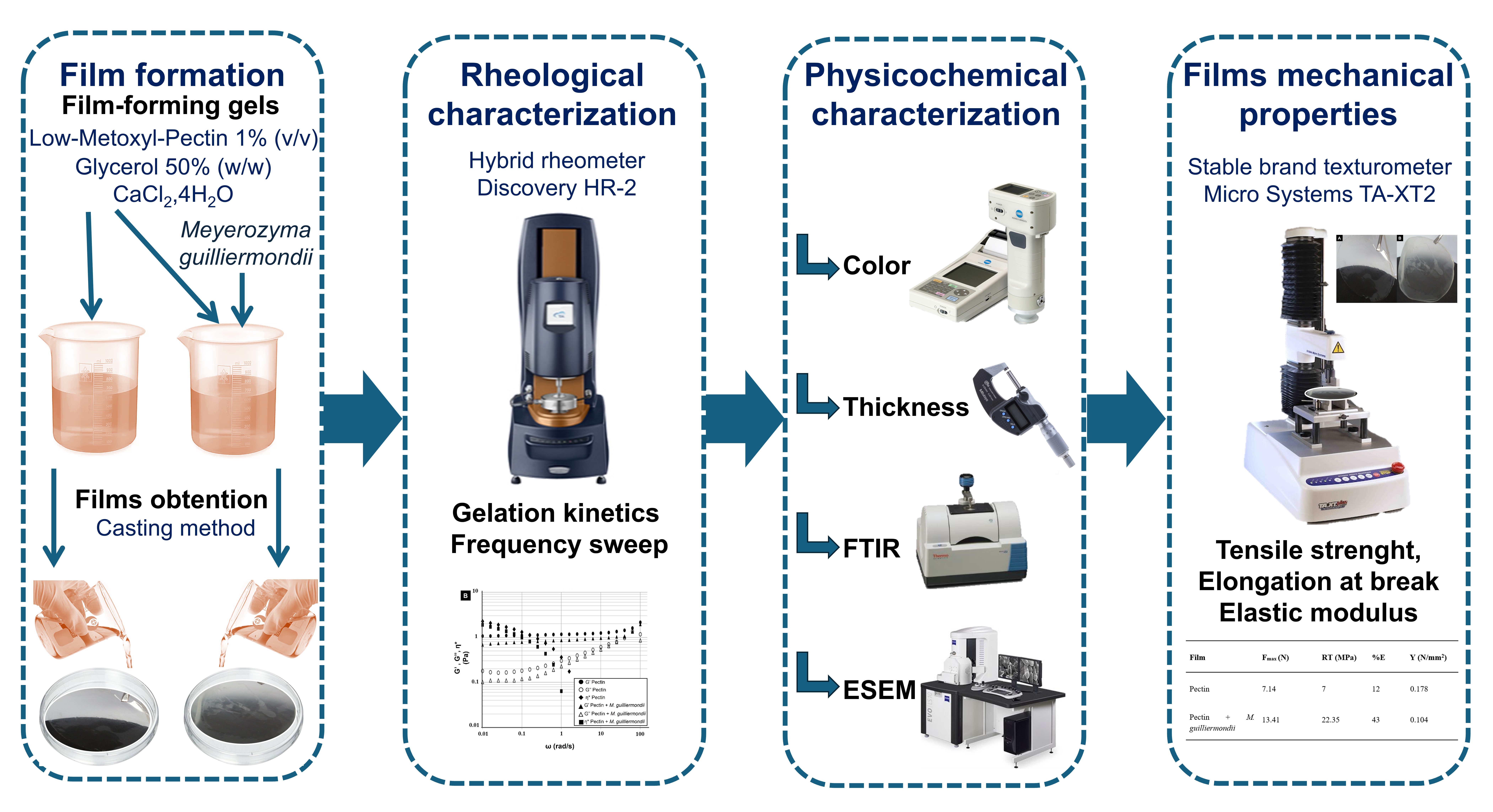 Graphical abstract