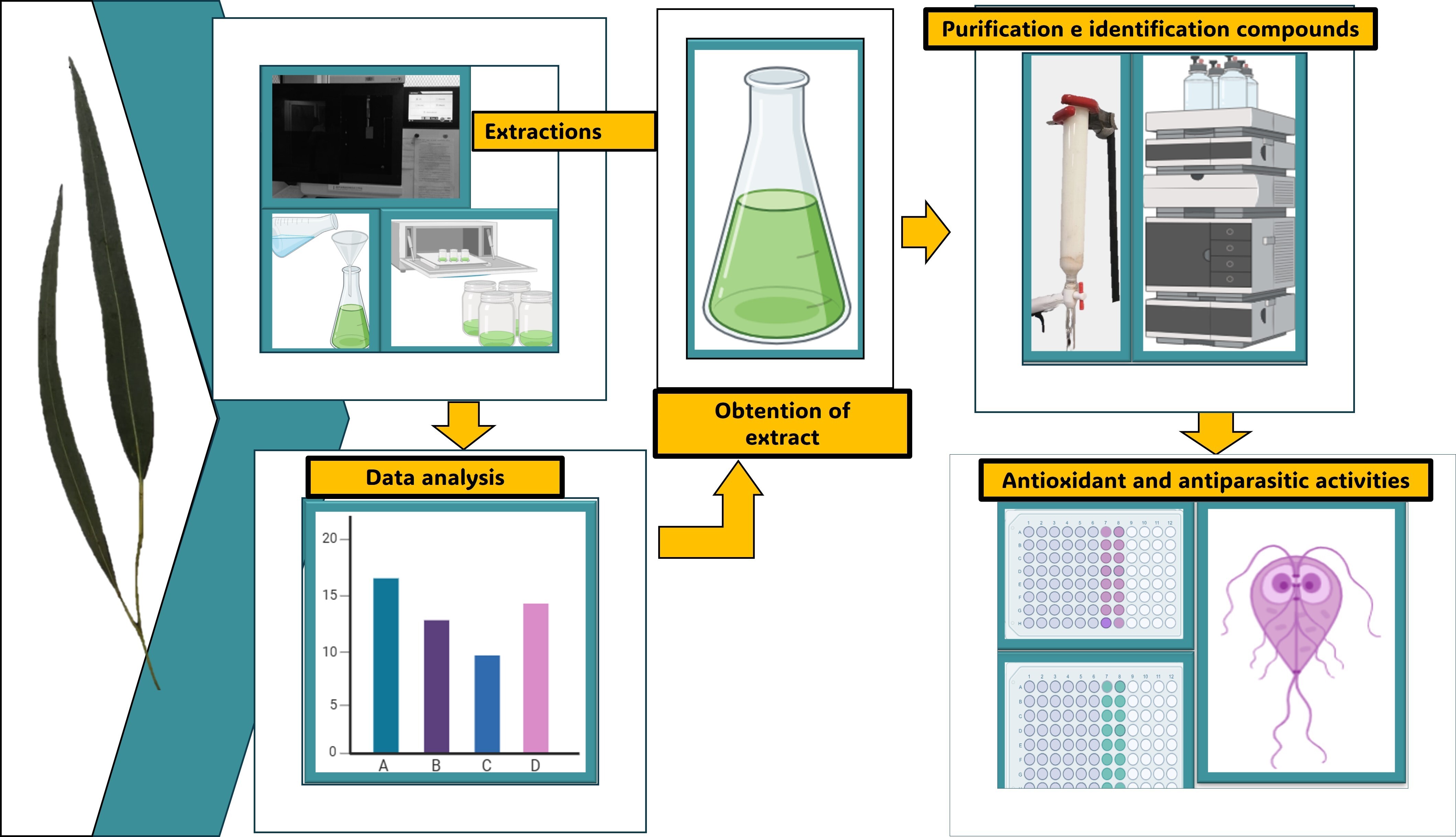 Graphical abstract