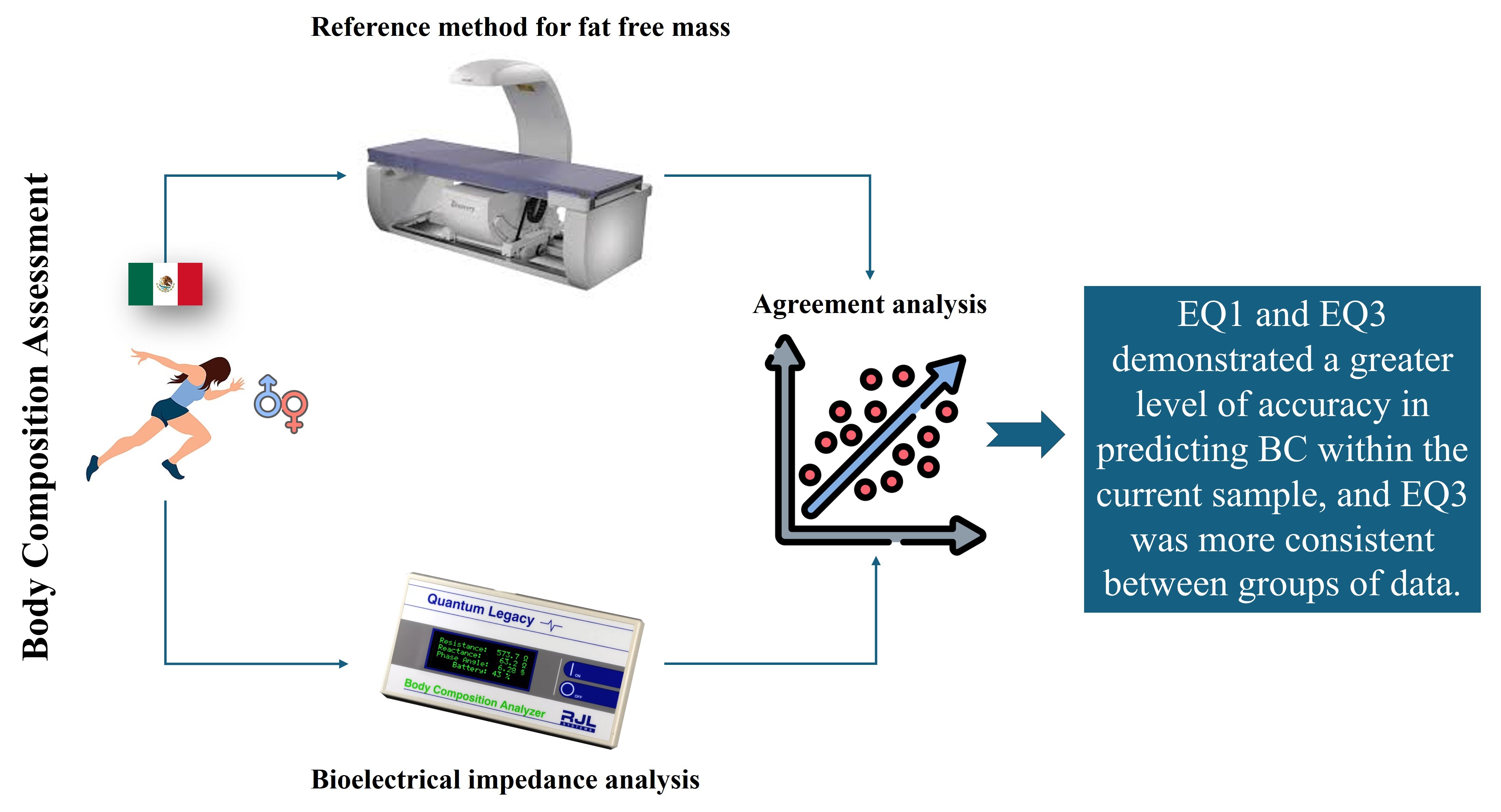 Graphical abstract