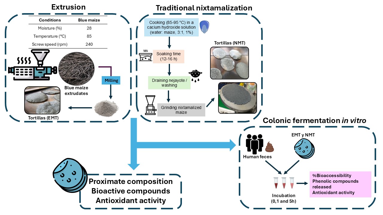 Graphical abstract