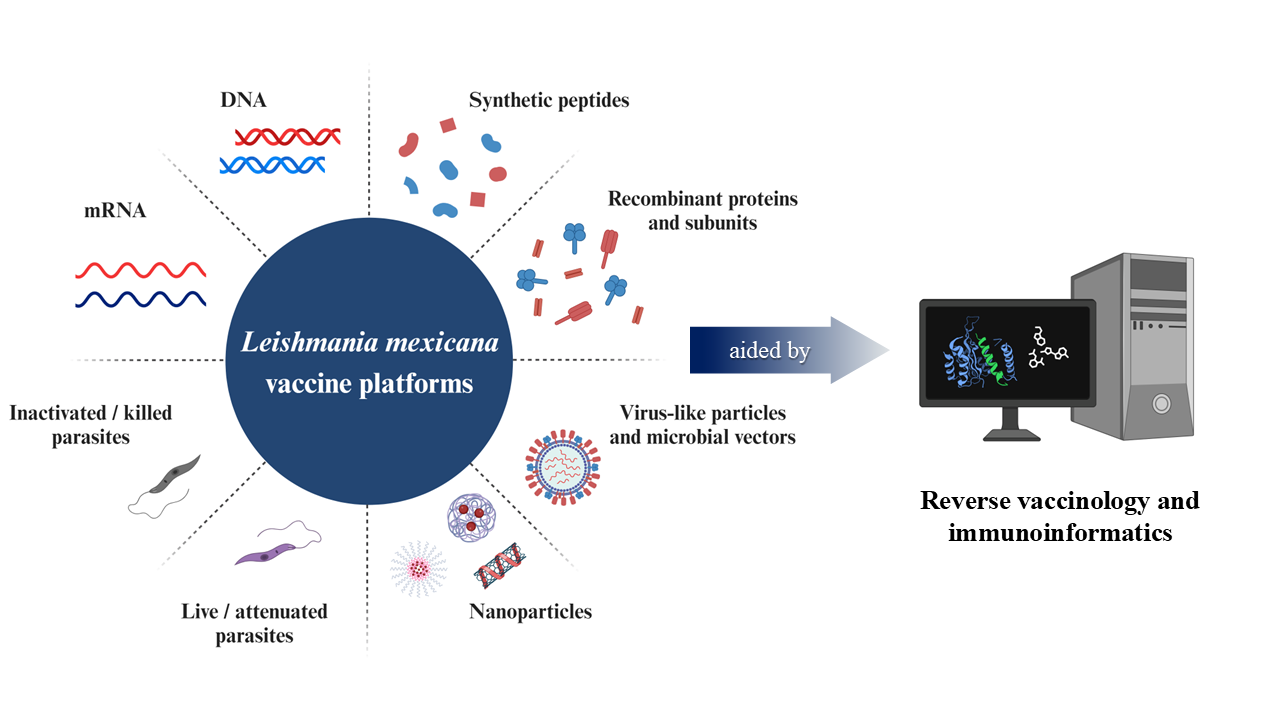 Graphical abstract
