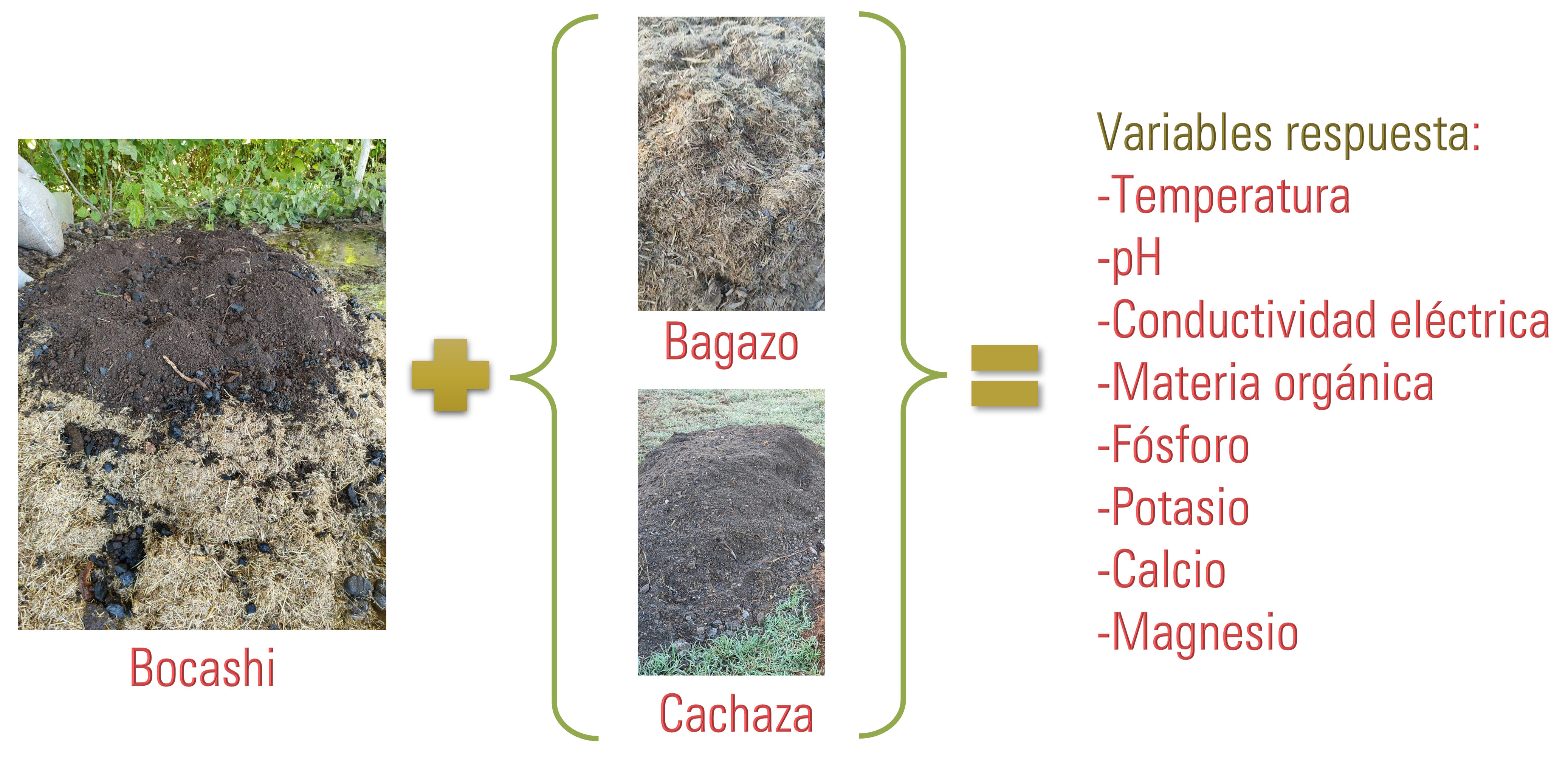 Resumen gráfico