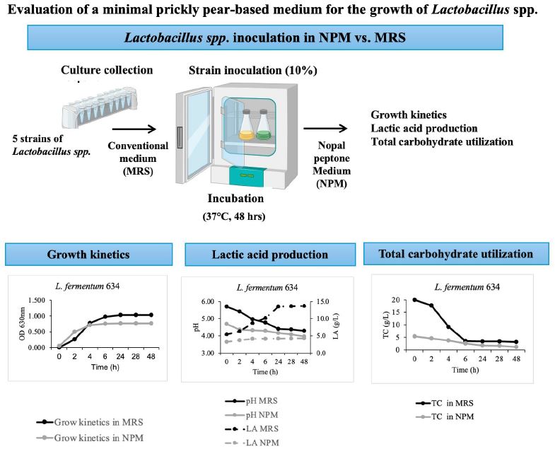 Graphical abstract