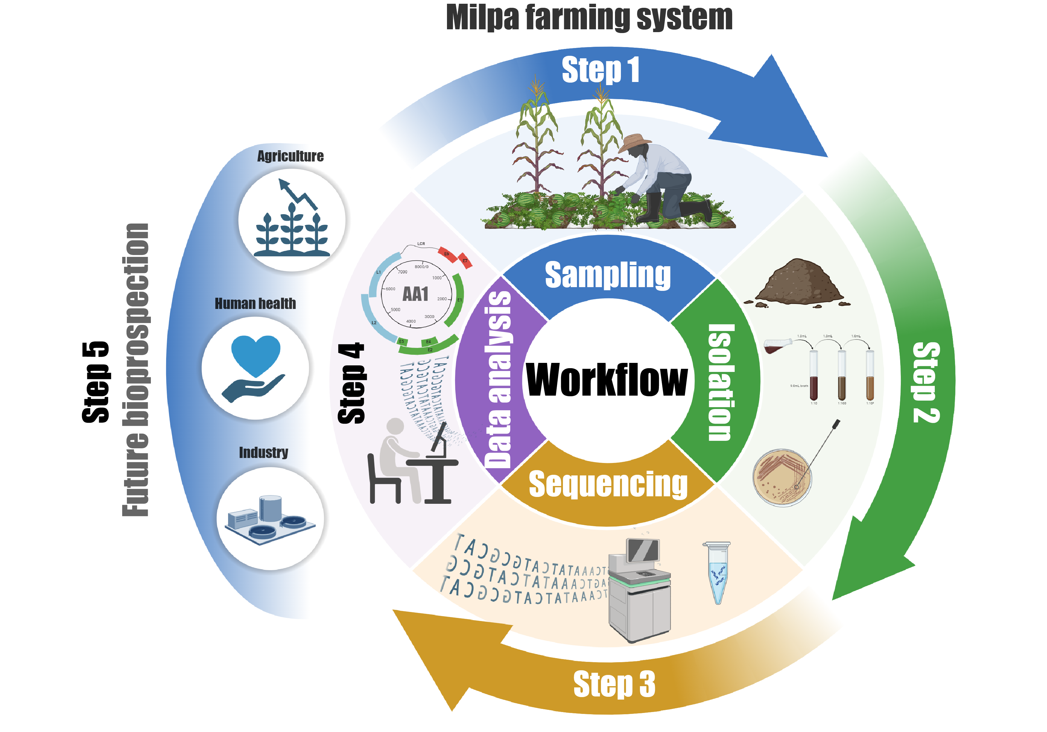 Graphical abstract