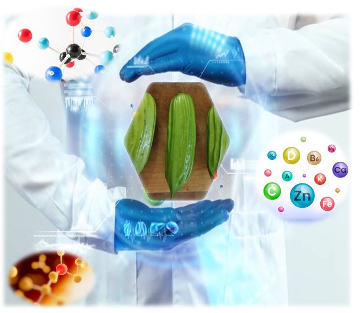 Graphical abstract