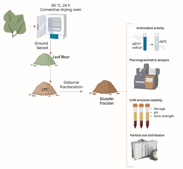 Graphical abstract