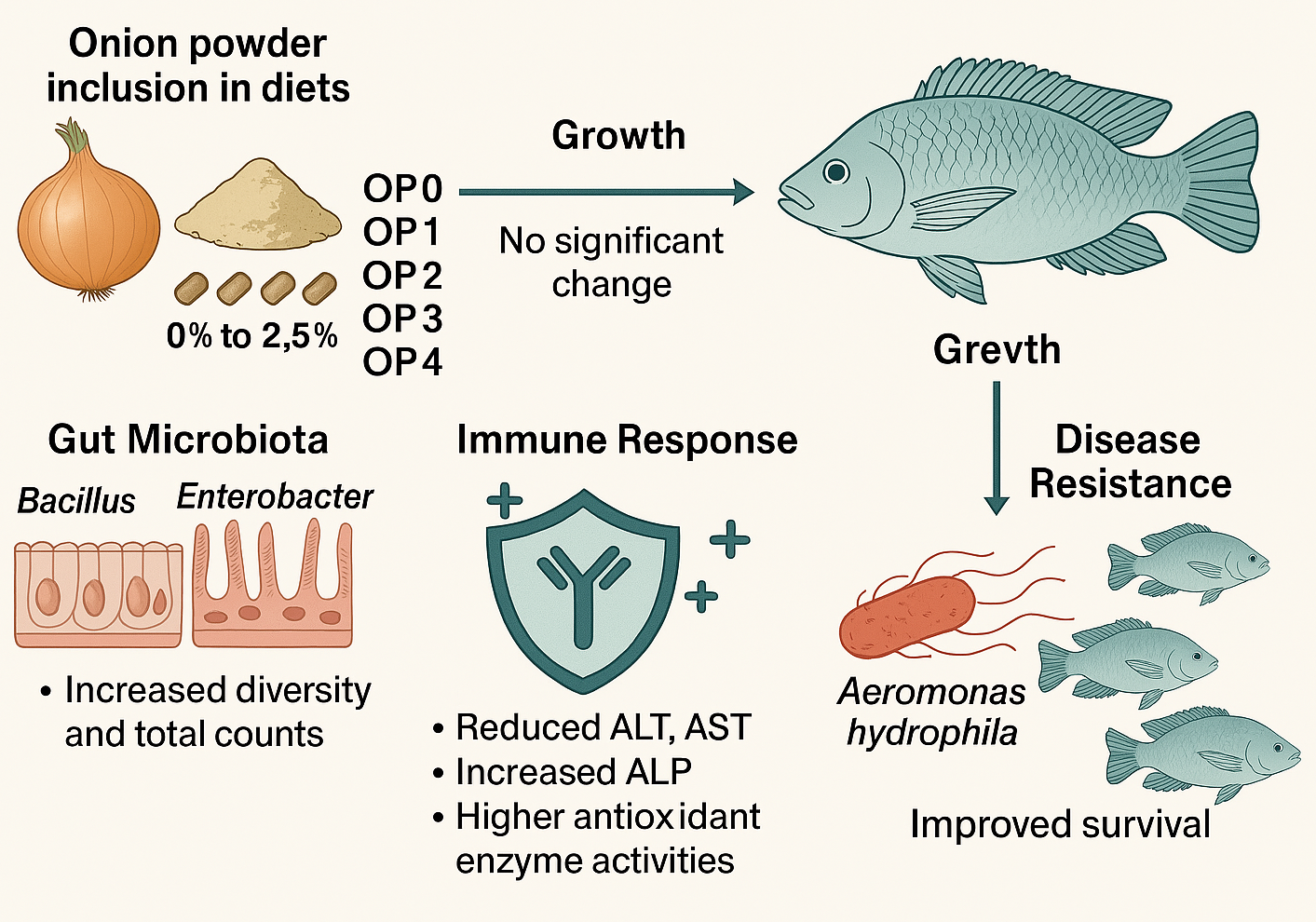Graphical abstract
