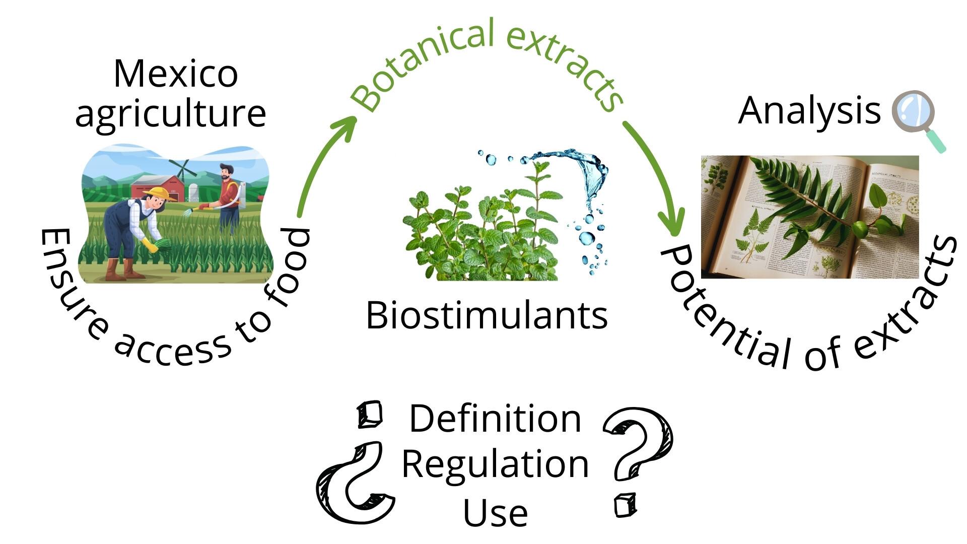 Graphical abstract