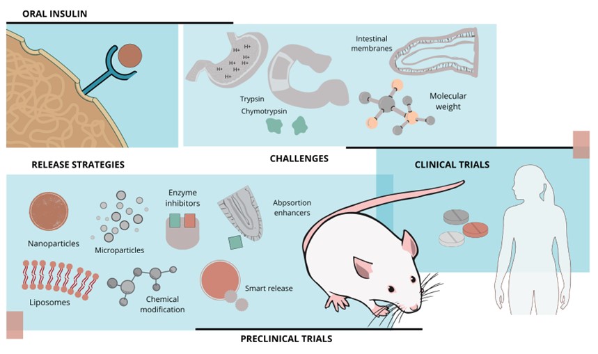 Graphical abstract